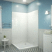Dreamline DSHBW154176000 White Standard Enclosure