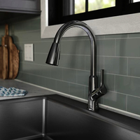  Everyday Pull-Out Spray Kitchen Faucet - Chrome