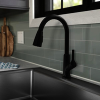 Pull-Out Spray Kitchen Faucet Pull-Out Spray Kitchen Faucet