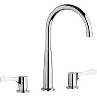 Two Handle Kitchen Faucet