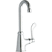 Elkay ELK535GN04T4 Chrome Institutional Faucet