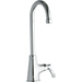 Elkay ELK535GN05L2 Polished Chrome Institutional Faucet