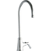 Elkay ELK535GN08L2 Polished Chrome Institutional Faucet