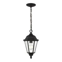  Bakersville Hanging Hanging Lantern - Black