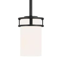  Robie Mini-Pendant Pendant Light - Midnight Black