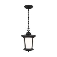  Eddington Hanging Hanging Lantern - Black