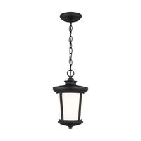  Eddington Hanging Hanging Lantern - Black