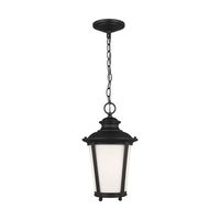  Cape May Hanging Hanging Lantern - Black