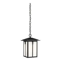  Tomek Hanging Hanging Lantern - Black