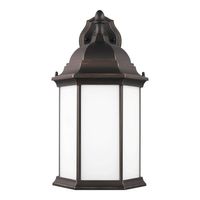 Outdoor Wall Light 18-3/4" Height