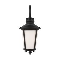  Cape May Entrance Outdoor Wall Light - Black