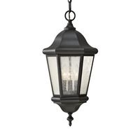  Martinsville Hanging Hanging Lantern - Black