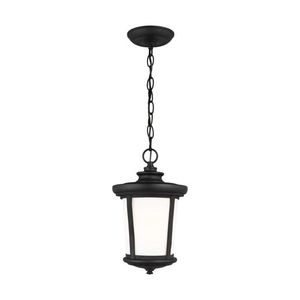 GL6219301EN312 Eddington Hanging Hanging Lantern - Black