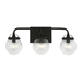 Generation Lighting GL4000403112 Midnight Black 3 Bulb Bathroom Light