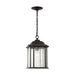 Generation Lighting GL60031746 Oxford Bronze Outdoor Hanging Lantern