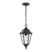 Generation Lighting GL60938782 Heirloom Bronze Outdoor Hanging Lantern