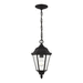 Generation Lighting GL6094112 Black Outdoor Hanging Lantern