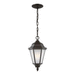 Generation Lighting GL60941782 Heirloom Bronze Outdoor Hanging Lantern