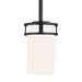 Generation Lighting GL6121601112 Midnight Black Mini Pendant