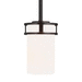 Generation Lighting GL6121601710 Bronze Mini Pendant