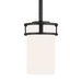 Generation Lighting GL6121601EN3112 Midnight Black Mini Pendant