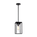 Generation Lighting GL623110112 Black Outdoor Hanging Lantern