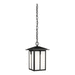 Generation Lighting GL625270112 Black Outdoor Hanging Lantern