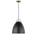 Generation Lighting GL6551701848 Satin Brass Down Light Pendant