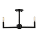 Generation Lighting GL7764203112 Midnight Black Semi Flush Mount Ceiling Light