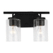 Generation Lighting GL41171112 Midnight Black 2 Bulb Bathroom Light