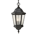 Generation Lighting GLOL5911ENBK Black Outdoor Hanging Lantern