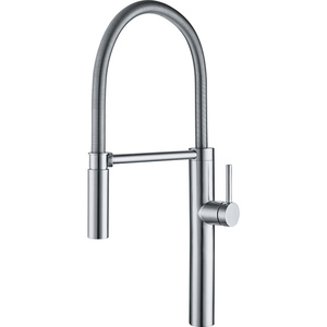 FFFPD4450 Pescara Pull-Out Spray Kitchen Faucet - Stainless Steel