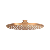 Shower Head