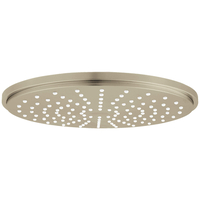  Cosmopolitan Shower Head Shower Accessory - Brushed Nickel
