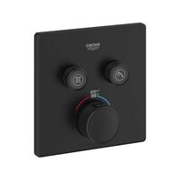 Thermostatic / Volume Control Trim Thermostatic / Volume Control Trim