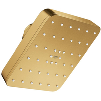 Shower Head
