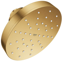 Shower Head