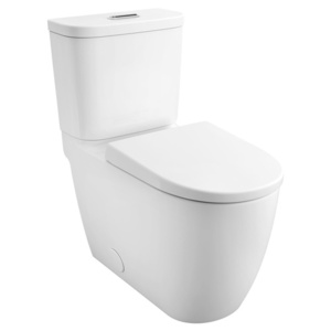 G39674000 Essence One Piece Toilet - Alpine White