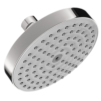  Raindance S Shower Head Shower Accessory - Chrome