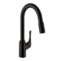 Pull-Out Spray Kitchen Faucet Pull-Out Spray Kitchen Faucet