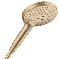 Hand Held Shower
