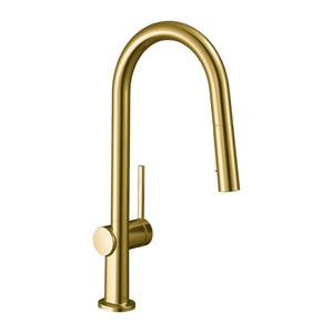 H72846251 Talis N Pull-Out Spray Kitchen Faucet - Brushed Gold Optic