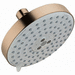 Hansgrohe AX04800140 Brushed Bronze Shower Head