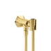 Hansgrohe H04831250 Brushed Gold Optic Hand Shower Holder
