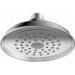 Hansgrohe H04780000 Chrome Shower Head