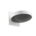 Hansgrohe H26232701 Matte White Shower Head