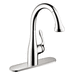 Hansgrohe H04066000 Chrome Pull-Out Spray Kitchen Faucet