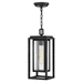 Hinkley H1002BKLV Black Outdoor Hanging Lantern