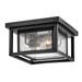 Hinkley H1003BK Black Outdoor Ceiling Mounted Light