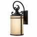 Hinkley H1145OLLED Olde Black Outdoor Entrance Wall Light